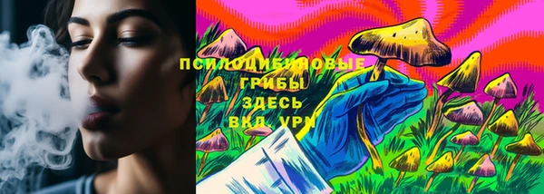 герыч Новодвинск