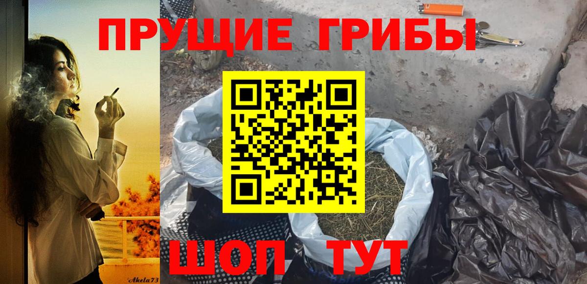 Псилоцибиновые грибы Psilocybe Сызрань